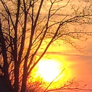 Meet your Posher, Tami